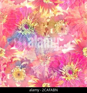 Design floreale senza cuciture con fiori di zinnia per lo sfondo, motivo infinito. Illustrazione Watercolor. Foto Stock