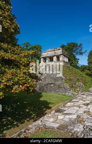 Il Tempio del Conte nelle rovine della città maya di Palenque, Palenque National Park, Chiapas, Messico. Patrimonio dell'umanità dell'UNESCO. Foto Stock