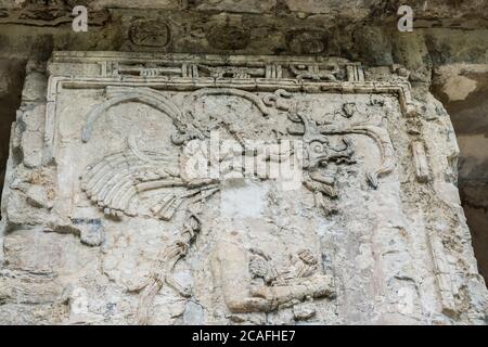 Fregio in stucco scolpito su un molo del Palazzo nelle rovine della città maya di Palenque, Palenque National Park, Chiapas, Messico. Sito mondiale dell'UNESCO. Foto Stock