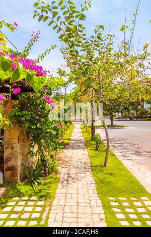 Bella vista del marciapiede con pavimentazione in pietra vicino a case moderne in un villaggio confortevole in tempo soleggiato con cielo blu. Alberi, fiori e foglie verdi Foto Stock