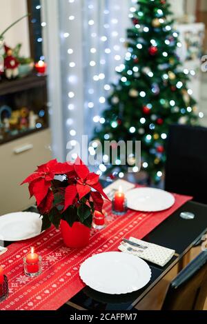 Primo piano di un fiore in una pentola rossa su un tavolo festivamente decorato per le feste di Capodanno sullo sfondo di un albero di Natale con uno scintillante Foto Stock