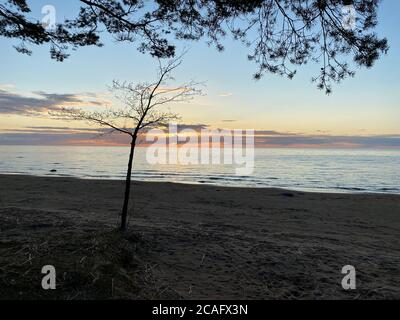 Tramonto estivo sulla riva del Golfo di Finlandia Foto Stock