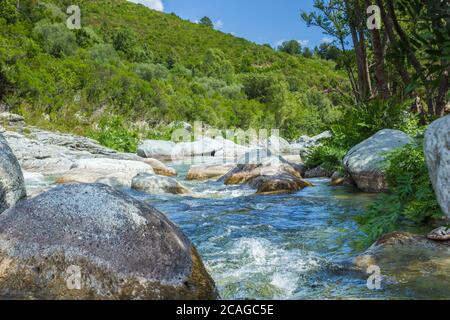 Un torrente sassoso nelle montagne della Corsica Foto Stock