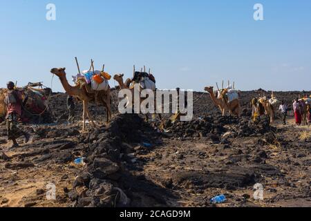 Erta Ale, Etiopia - Novembre 2018: Carovana di cammelli guidata dalla gente locale di Afar, nel deserto Foto Stock