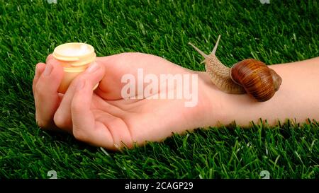 bellezza, cosmetici per la cura della pelle con mucina di lumaca, crema idratante in mano con lumaca su erba verde primo piano. Foto Stock