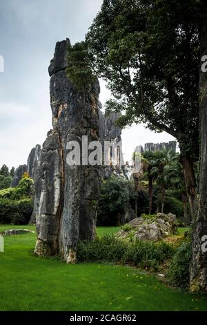 La foresta di pietra o di Shilin, Kunming, nella provincia dello Yunnan in Cina, Asia, Asia, Asia orientale, Estremo Oriente Foto Stock