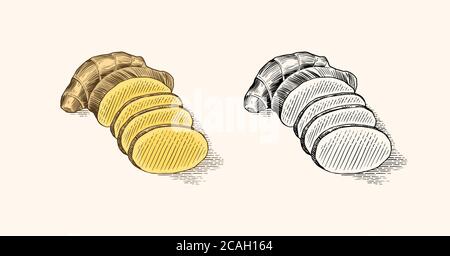 Radice di zenzero, rizoma tritato, pianta fresca. Schizzo tracciato a mano con incisione vettoriale. Set di ingredienti. Disintossicare le spezie. Illustrazione Vettoriale