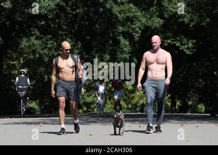 Due uomini camminano su un bulldog francese a Regent's Park, Londra, mentre il clima caldo continua. Foto Stock