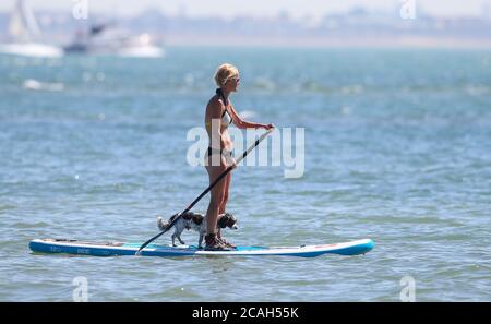 Calshot, New Forest. 7 agosto 2020. Regno Unito Meteo. I visitatori di Calshot Beach in quello che ci si aspetta sia il giorno più caldo dell'anno. Una donna e il suo cane paddle imbarco sul Solent. Credit Stuart Martin/Alamy Live News Foto Stock