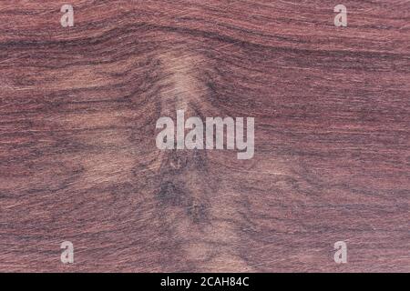 Struttura legno sfondo - legno di palissandro indiano - Dalbergia latifolia Foto Stock