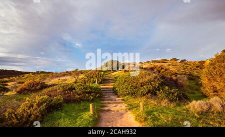 Sentiero in legno di Hallett Cove al tramonto, Australia del Sud Foto Stock