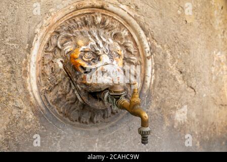 fontana da bere con il dentice murato nella città di spoleto Foto Stock