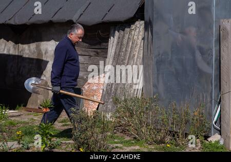 Adulto agricoltore maschio porta una pala nel suo giardino Foto Stock