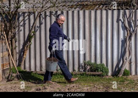 Coltivatore adulto con un secchio porta patate in giardino. Foto di alta qualità Foto Stock