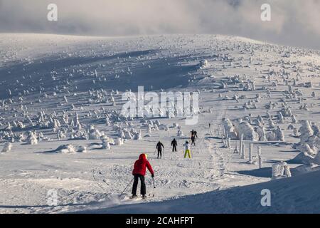 Sciatori in pista, seguendo il confine polacco/ceco, zona subalpina sotto la vetta di Szrenica, Parco Nazionale di Karkonosze, al confine tra Polonia e Repubblica Ceca Foto Stock