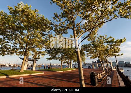 Piers Park, Boston Harbour, Waterfront Foto Stock