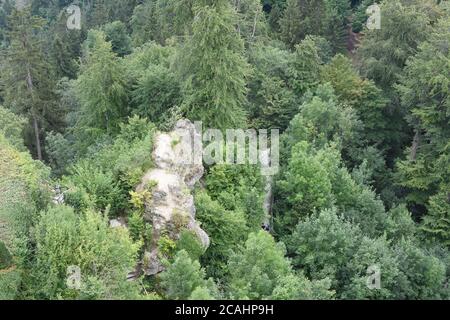 Vista dall'alto sulla foresta verde mista e sulle rocce da Uto Kulm o Uetliberg in Svizzera durante la soleggiata giornata estiva. Foto Stock