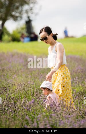 Magog, Canada - Luglio 26 2020: Madre e figlia giocano nella fattoria di lavanda Foto Stock