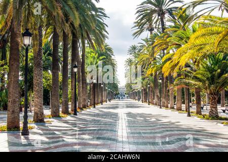 Lungo percorso in pietra circondato da palme su entrambi i lati nel Parco Hernandez di Melilla, Spagna Foto Stock