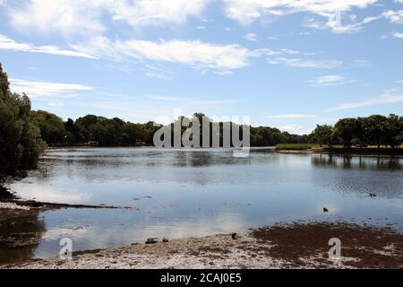 Beaulieu River visto da Palace Lane, New Forest, Beaulieu, Hampshire, Inghilterra, Regno Unito, agosto 2020 Foto Stock