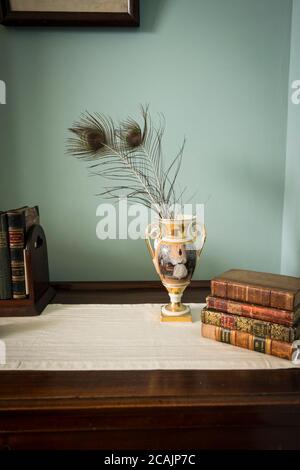 Vaso con piume di pavone e vecchi libri Foto Stock