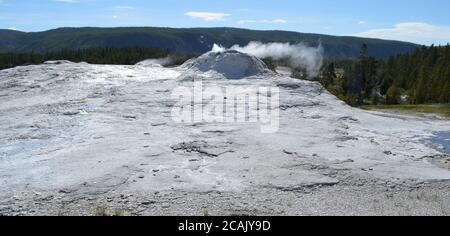 La tarda primavera nel Parco Nazionale di Yellowstone: I geyser Little Cub, Lioness, Big Cub e Lion del Gruppo dei leoni sulla Geyser Hill nell'Upper Geyser Basin Foto Stock