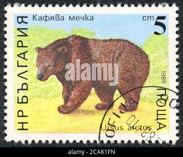 Francobollo. Orso bruno, della serie, Bulgaria, 1988 Foto Stock