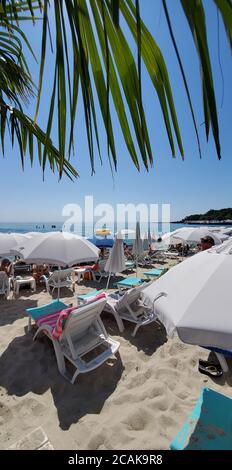 Vista attraverso le foglie di palme fino al mare estivo sulla costa europea. Spiaggia elegante con sedie a sdraio bianche su sabbia pulita e ombrelloni in tessuto bianco Foto Stock