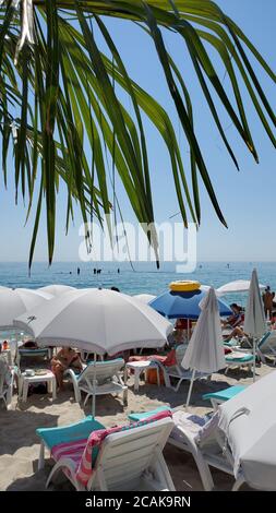 Il mare è stato girato attraverso le foglie di palme sulla costa europea. Spiaggia elegante con sedie a sdraio bianche su sabbia pulita e ombrelloni in tessuto bianco Foto Stock