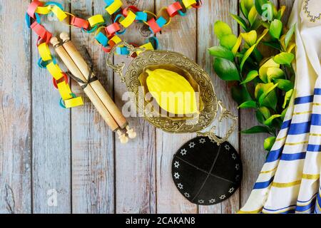 L'etrog giallastro religioso ebreo del citron è usato durante le feste di Sukkot e di tallit Foto Stock