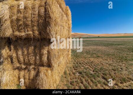 Waiting Hay Stacks in the Palouse in Fall, WA, USA Foto Stock