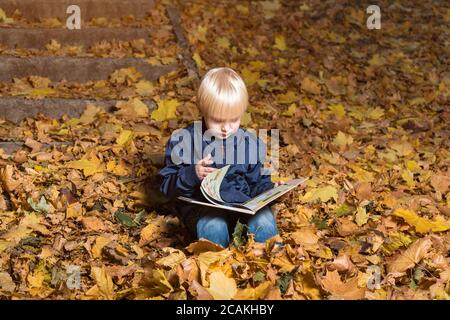 Figlio trasforma le pagine nel libro. Ragazzo si siede nella foresta autunnale e leggere Foto Stock