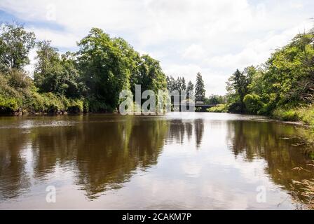 Fiume Nicomekl, South Surrey, British Columbia, Canada Foto Stock