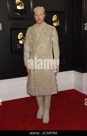 LOS ANGELES - GEN 26: Shaun Ross al 62° Grammy Awards allo Staples Center il 26 gennaio 2020 a Los Angeles, California Foto Stock