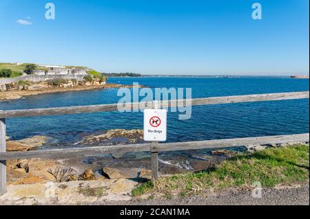 No Dogs Sign in la Perouse in un inverno soleggiato pomeriggio Foto Stock