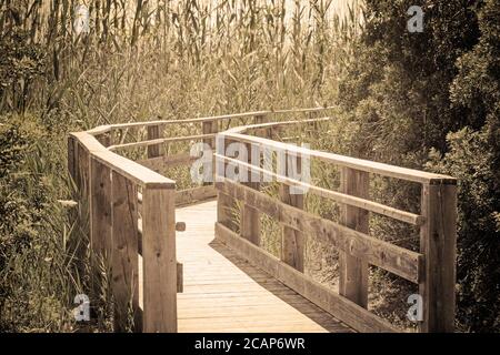 passerella in legno attraverso il parco. Elaborato per "effetto vintage" Foto Stock