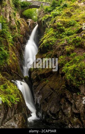 Cascata Aira Force vicino Ullswater nel Lake District, Inghilterra Foto Stock