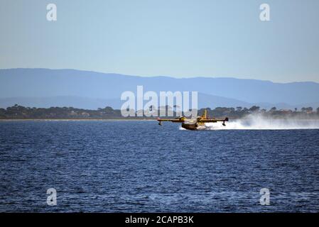 Penisola di Giens che scopano in mare dalle acque di Canadair bombardiere Foto Stock