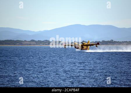 Penisola di Giens che scopano in mare dalle acque di Canadair bombardiere Foto Stock
