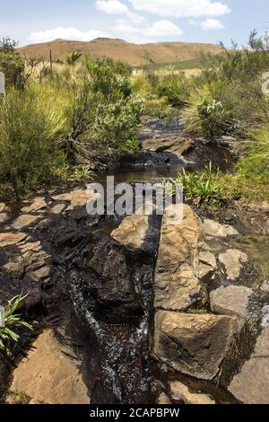 Prima colazione Stream, un piccolo ruscello di montagna, che scorre attraverso le Montagne Drakensberg Centrale in Sud Africa Foto Stock