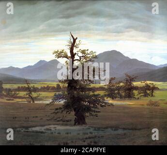Friedrich Caspar David - Paesaggio con albero solitario - Scuola tedesca - XIX e inizio XX secolo Foto Stock