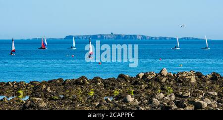 North Berwick, East Lothian, Scozia, 8 agosto 2020. Regno Unito Meteo: Giornata perfetta per gli sport acquatici. Una calda giornata di sole nel Firth of Forth attira la gente a prendere in acqua. Vela dinghies con l'Isola di maggio all'orizzonte come East Lothian Yacht Club tiene una corsa di club con l'Isola di maggio RSPB Seabird riserva naturale visibile all'orizzonte Foto Stock