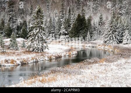Prime nevicate su Junction Creek, Greater Sudbury, Ontario, Canada Foto Stock