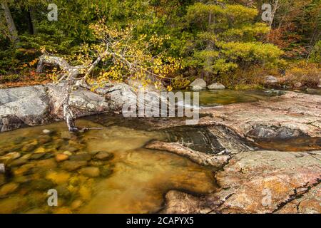 Affioramenti in granito lungo il lago Superior a Katherine Cove, Lake Superior Provincial Park, Ontario, Canada Foto Stock