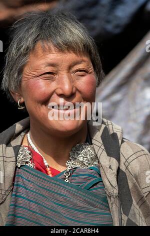 Bhutan, Passo di Lawala. Secondo passo di montagna più alto nel Bhutan (3,000 metri / oltre 10,000 piedi) Lone nomade mandria di yak femmina. Foto Stock