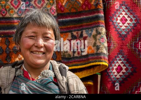 Bhutan, Passo di Lawala. Secondo passo di montagna più alto in Bhutan (oltre 10,000 piedi) Lone nomade mandria di yak di fronte al suo campo di alta altitudine. Foto Stock