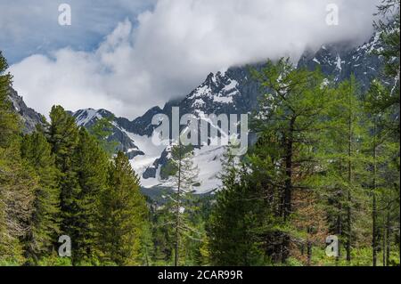 Montagne innevate sulla strada per il Lago Kuyguk montagna Altai Foto Stock