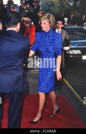 Un sorriso HRH LA PRINCIPESSA DEL GALLES, PRINCIPESSA DIANA arriva al Premio Standard serale al Savoy Hotel, Londra, Gran Bretagna - Novembre 1989 Foto Stock