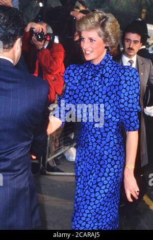 Un sorriso HRH LA PRINCIPESSA DEL GALLES, PRINCIPESSA DIANA arriva al Premio Standard serale al Savoy Hotel, Londra, Gran Bretagna - Novembre 1989 Foto Stock