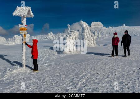 Escursionisti al cartello del sentiero, pini nani, ghiaccio e neve racchiusi, zona subalpina sotto Szrenica, Karkonosze National Park, Polonia e Repubblica Ceca Foto Stock